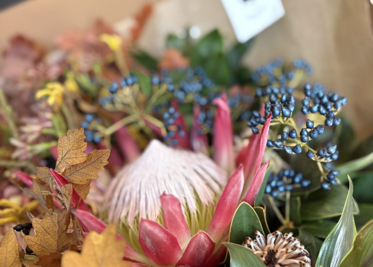 言うことないです